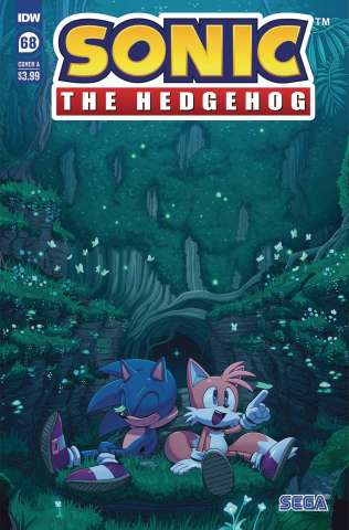 Sonic the Hedgehog #68 (Kim Cover)
