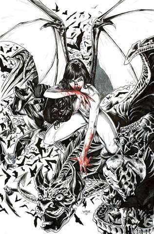 Vengeance of Vampirella #17 (21 Copy Sta Maria B&W Virgin Cover)