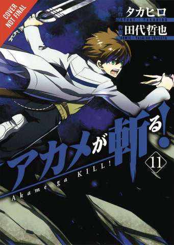 Akame Ga KILL! Vol. 11