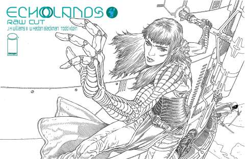 Echolands #4 (Rodriguez Raw Cut)