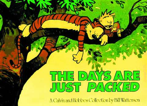 Calvin and Hobbes: The Days Are Just Packed