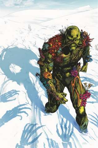 Future State: Swamp Thing #2 (Dima Ivanov Card Stock Cover)
