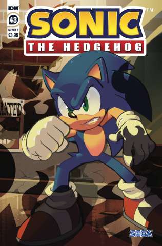 Sonic the Hedgehog #43 (Matt Herms Cover)