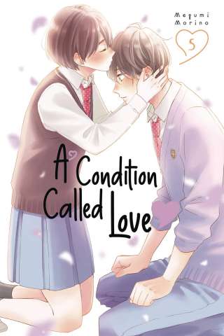 A Condition of Love Vol. 5