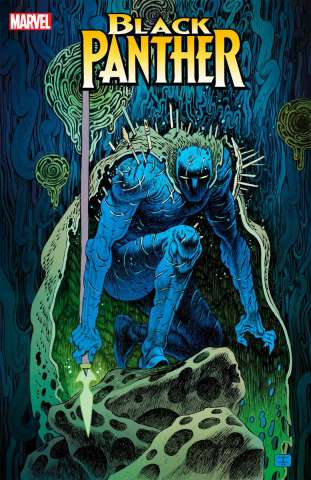 Black Panther #3 (Ian Bertram Cover)
