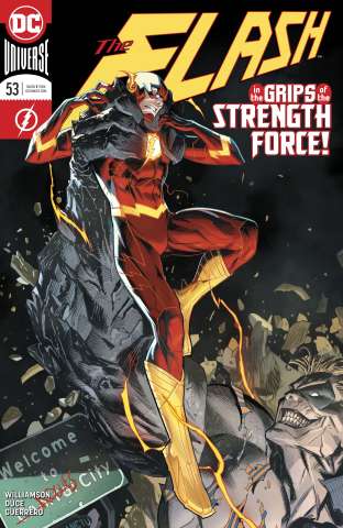 The Flash #53