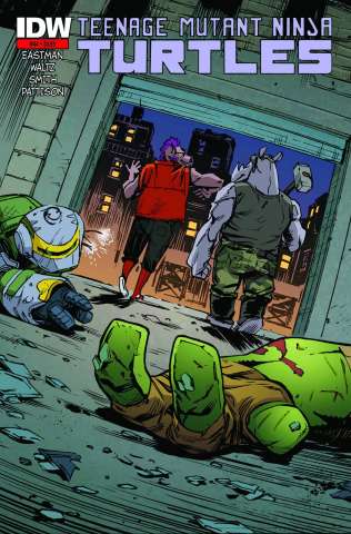 Teenage Mutant Ninja Turtles #44 (3rd Printing)