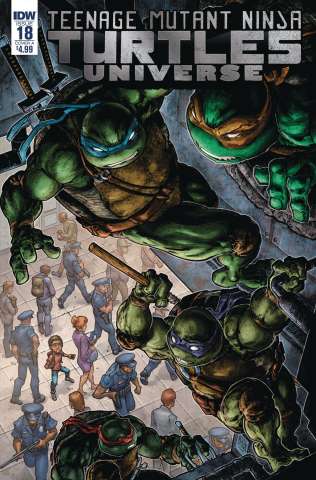 Teenage Mutant Ninja Turtles Universe #18 (Williams II Cover)