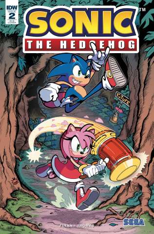Sonic the Hedgehog #2 (25 Copy Cover)