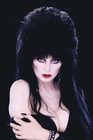 The Shape of Elvira #2 (40 Copy Photo Virgin Cover)