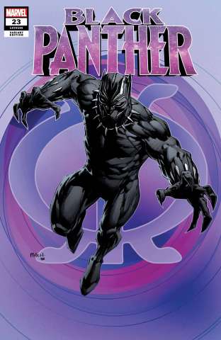 Black Panther #23 (Finch Cover)