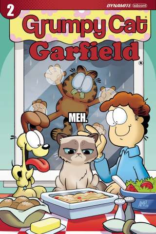 Grumpy Cat / Garfield #2 (Fleecs Cover)