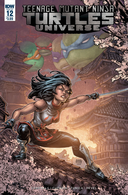 Teenage Mutant Ninja Turtles Universe #12 (Williams II Cover)