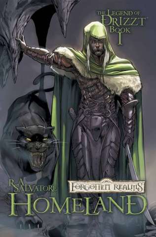 Dungeons & Dragons: The Legend of Drizzt Vol. 1: Homeland