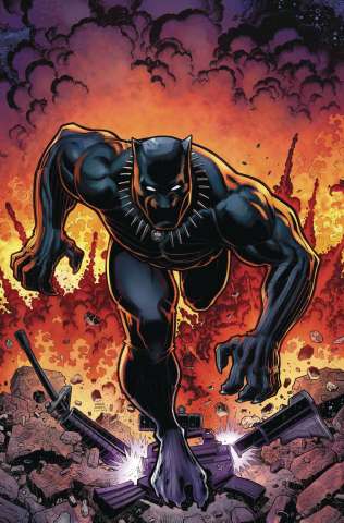 Rise of the Black Panther #6 (Adams Cover)