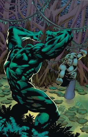 The Swamp Thing #4