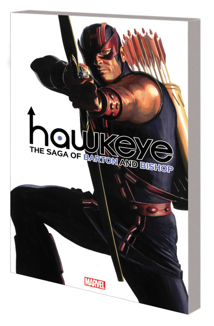 Hawkeye by Matt Fraction and David Aja