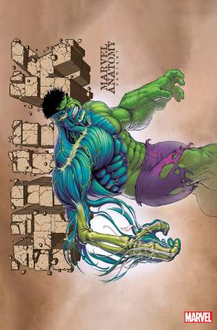 Hulk #11 (Marvel Anatomy Lobe Cover)