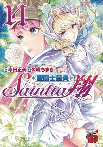 Saint Seiya: Saintia Shō Vol. 14