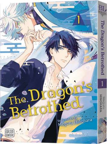The Dragon's Betrothed Vol. 1