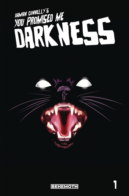 You Promised Me Darkness #1 (3rd Printing)