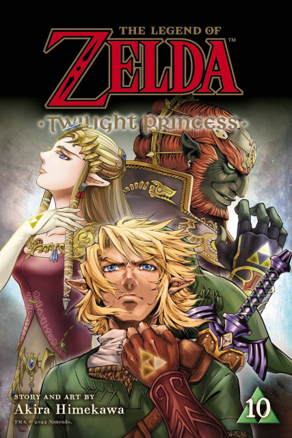 The Legend of Zelda: Twilight Princess Vol. 10