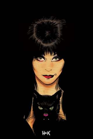 Elvira: Mistress of the Dark #5 (20 Copy Hack Virgin Cover)
