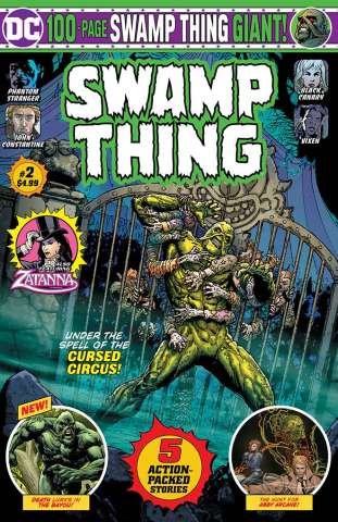 The Swamp Thing Giant #2