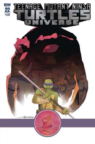 Teenage Mutant Ninja Turtles Universe #22 (Torres Cover)