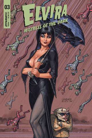 Elvira: Mistress of the Dark #3 (Linsner Cover)