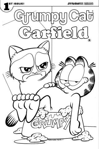 Grumpy Cat / Garfield #1 (Coloring Book Cover)