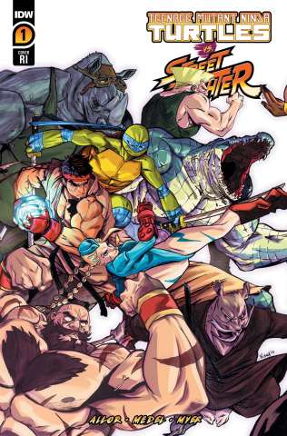Teenage Mutant Ninja Turtles vs. Street Fighter #1 (25 Copy Federici Cover)