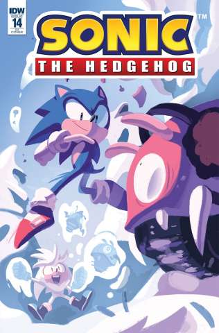 Sonic the Hedgehog #14 (10 Copy Fourdraine Cover)