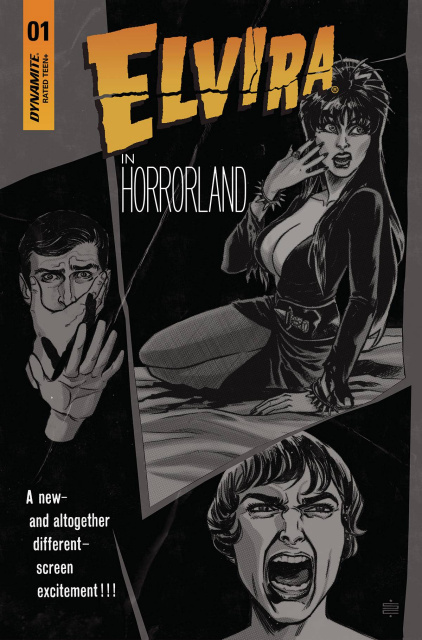 Elvira in Horrorland #1 (30 Copy Califano B&W Cover)