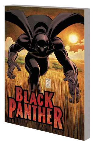 Black Panther: Who is the Black Panther?