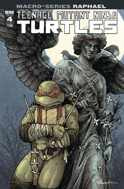 Teenage Mutant Ninja Turtles Macro-Series #4: Raphael (Petersen Cover)