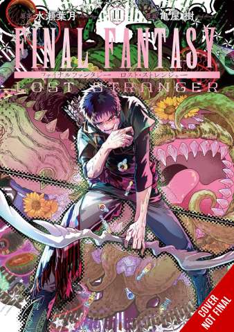 Final Fantasy: Lost Stranger Vol. 11