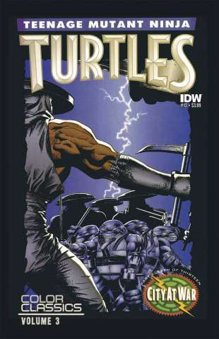 Teenage Mutant Ninja Turtles Color Classics: Series 3 #13