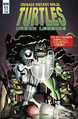 Teenage Mutant Ninja Turtles: Urban Legends #11 (Fosco Cover)