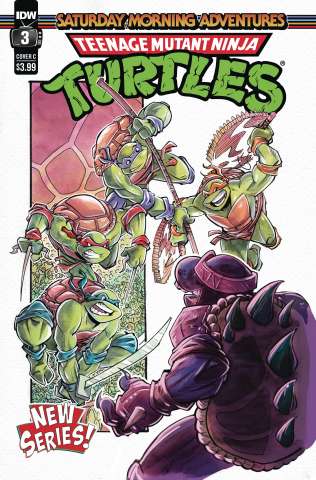 Teenage Mutant Ninja Turtles: Saturday Morning Adventures, Continued #3 (Daley Cover)