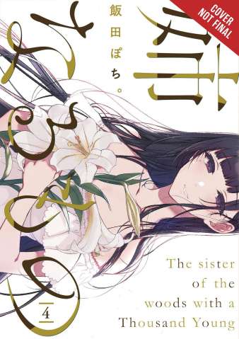 The Elder Sister-Like One Vol. 4