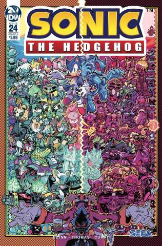Sonic the Hedgehog #24 (Gray & Graham Cover)