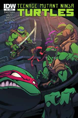 Teenage Mutant Ninja Turtles #20 (10 Copy Cover)