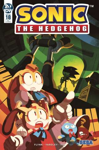 Sonic the Hedgehog #18 (10 Copy Fourdraine Cover)