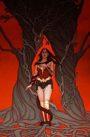 Wonder Woman #21 (Variant Cover)