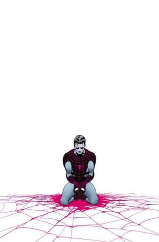 The Amazing Spider-Man #655 (2nd Printing)