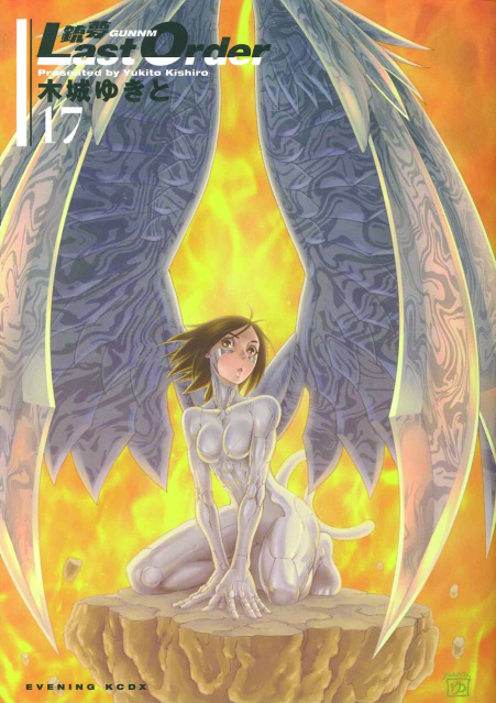 Battle Angel Alita: Last Order Vol. 17