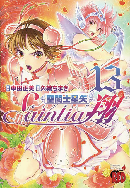 Saint Seiya: Saintia Shō Vol. 13