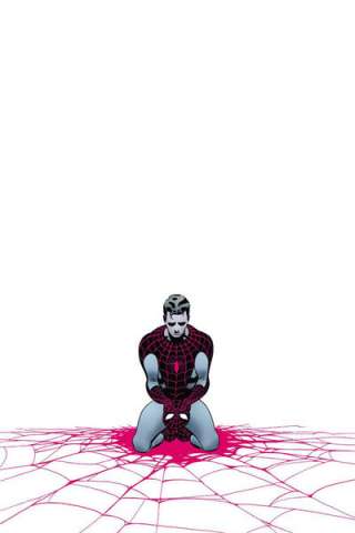 The Amazing Spider-Man #655 Big
