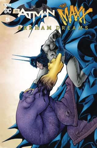 Batman / The Maxx: Arkham Dreams #5 (Keith Cover)